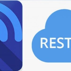 concept of RESTful APIs